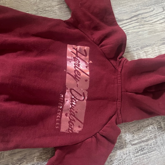Harley-Davidson 2/3T Toddler Sweatsuit - Picture 3 of 5